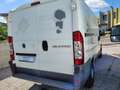 Fiat Ducato 33 2.3 mjt 120cv PC-TN Blanco - thumbnail 7