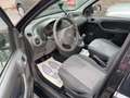 Fiat Panda Panda 1.2i Pop Prête à immat CT OK LEZ Euro5 Noir - thumbnail 11