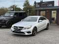 Mercedes-Benz E 220 BlueEfficiency CDI Aut. Gris - thumbnail 1