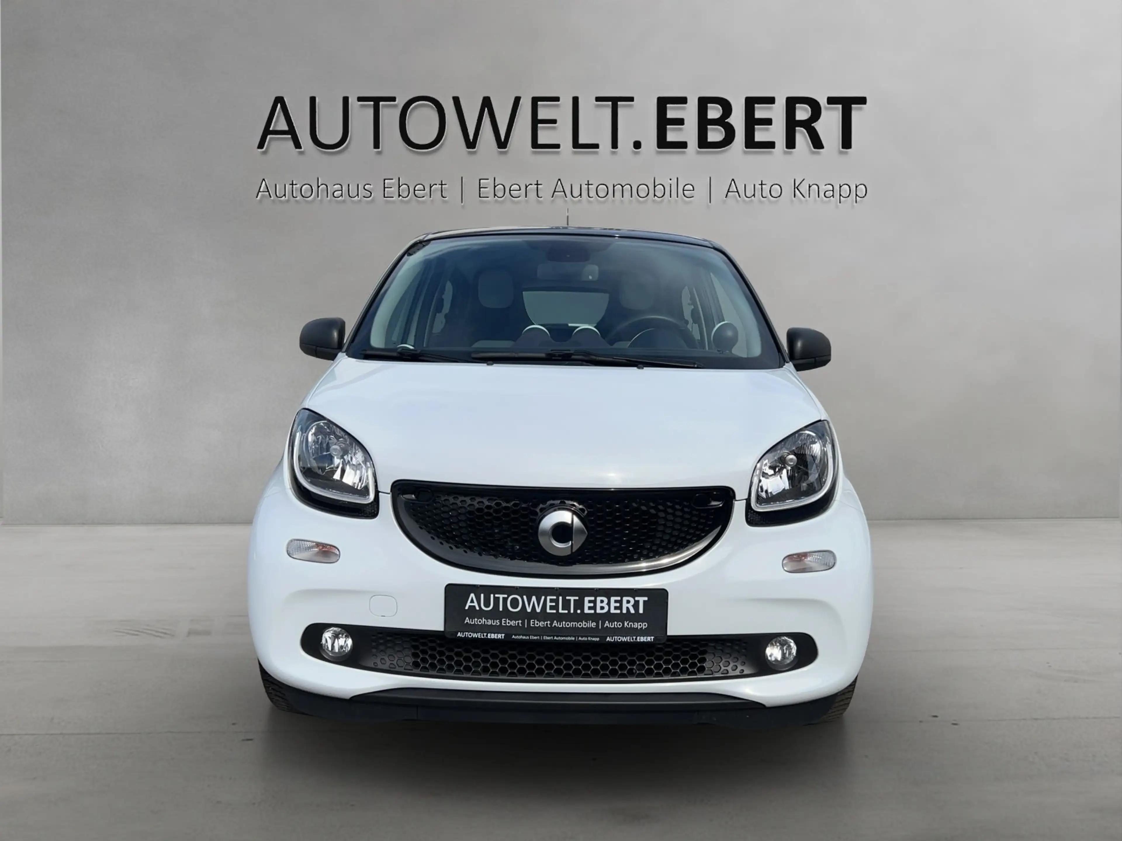 smart forFour forfour passion PDC/TEMPOMAT/KLIMA/SHZ/ — photo 6