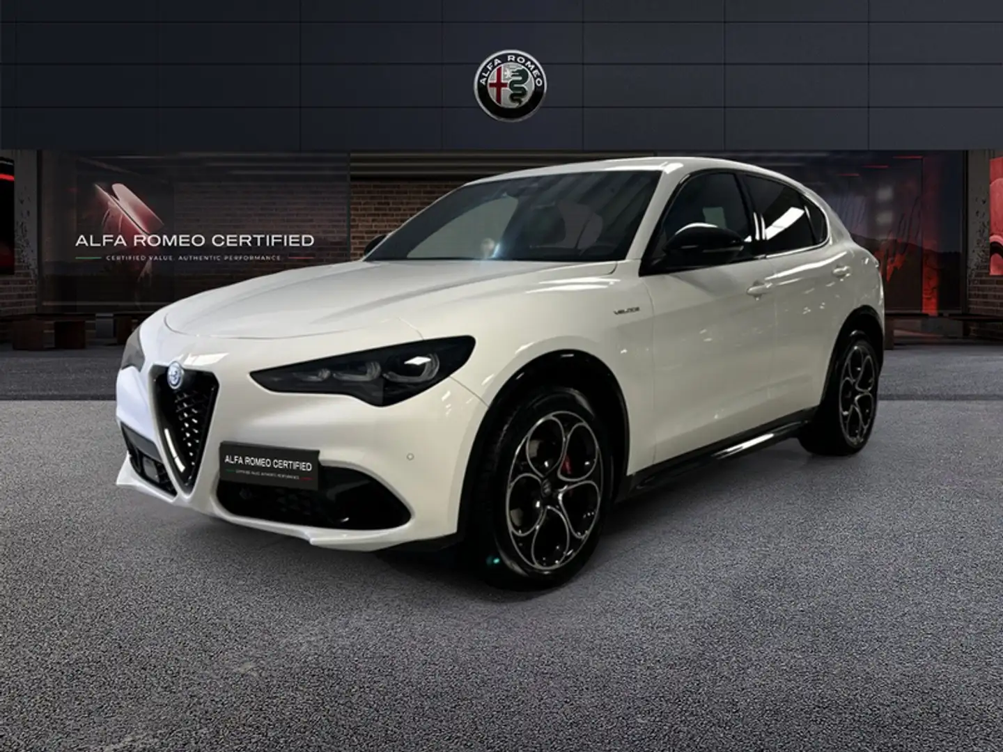 Alfa Romeo Stelvio 2.2 TD 210 CV Veloce AT8 Q4 Bianco - 1