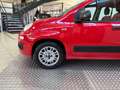 Fiat Panda Panda 1.2 Easy Rosso - thumbnail 4