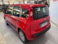 Fiat Panda Panda 1.2 Easy Rosso - thumbnail 3