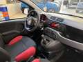 Fiat Panda Panda 1.2 Easy Rosso - thumbnail 8