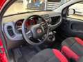 Fiat Panda Panda 1.2 Easy Rosso - thumbnail 7