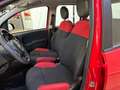 Fiat Panda Panda 1.2 Easy Rosso - thumbnail 11