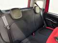 Fiat Panda Panda 1.2 Easy Rosso - thumbnail 12