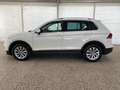 Volkswagen Tiguan Tiguan 2.0 tdi Business 150cv dsg Bianco - thumbnail 3
