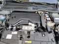 Citroen C4 MAX Mild-Hybrid 6-AT HUD Navi Digitales Cockpit 36 Grün - thumbnail 14