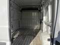 Fiat Ducato 33 2.2 Mjt 140CV PM-TM L2H2 Furgone Blanco - thumbnail 12