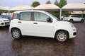 Fiat Panda 1.2 Easy Bluetooth 5 posti Bianco - thumbnail 14