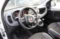 Fiat Panda 1.2 Easy Bluetooth 5 posti Bianco - thumbnail 3