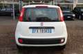 Fiat Panda 1.2 Easy Bluetooth 5 posti Bianco - thumbnail 16