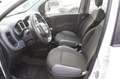 Fiat Panda 1.2 Easy Bluetooth 5 posti Bianco - thumbnail 4