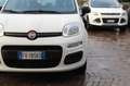 Fiat Panda 1.2 Easy Bluetooth 5 posti Bianco - thumbnail 8