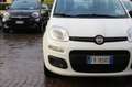 Fiat Panda 1.2 Easy Bluetooth 5 posti Bianco - thumbnail 10