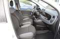 Fiat Panda 1.2 Easy Bluetooth 5 posti Bianco - thumbnail 17