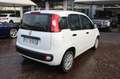 Fiat Panda 1.2 Easy Bluetooth 5 posti Bianco - thumbnail 6