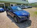 Alfa Romeo Stelvio 2.2 T.diesel 180 CV AT8 Q4 Exec. Blu/Azzurro - thumbnail 12