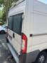 Fiat Ducato - thumbnail 4