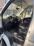 Fiat Ducato - thumbnail 8