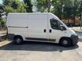 Fiat Ducato - thumbnail 3