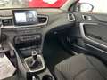 Kia Ceed / cee'd 1.6 CRDi 115 CV SW Business Class Nero - thumbnail 12