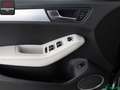 Audi Q5 Q5 3.0 TDI S LINE BANG+O,KAMERA,PANORAMA,ACC,AHK Grau - thumbnail 13