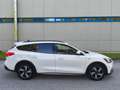 Ford Focus 1.5L EcoBlue Active Aut.,* LED, ACC, Kamera, BLIS* Weiß - thumbnail 8