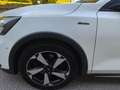 Ford Focus 1.5L EcoBlue Active Aut.,* LED, ACC, Kamera, BLIS* Weiß - thumbnail 11