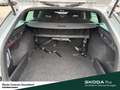 Skoda Octavia Combi RS TDI DSG Anhängerkuplung Infotainment Colu Zilver - thumbnail 10