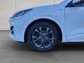 Ford Kuga 2.0 EcoBlue Hybrid ST-LINE X Weiß - thumbnail 16