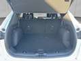Ford Kuga 2.0 EcoBlue Hybrid ST-LINE X Weiß - thumbnail 4