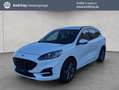 Ford Kuga 2.0 EcoBlue Hybrid ST-LINE X Weiß - thumbnail 1