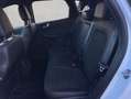 Ford Kuga 2.0 EcoBlue Hybrid ST-LINE X Weiß - thumbnail 12
