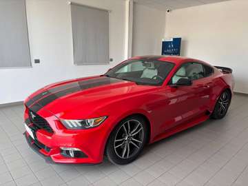 Fastback 2.3 ecoboost 314cv auto
