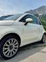 Fiat 500C 500C ECO 1,2 69 Lounge Lounge Weiß - thumbnail 5