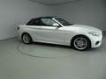 BMW 220 2 Serie Cabrio 220i Automaat / Sportpakket / Leder Blanc - thumbnail 24