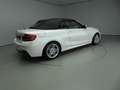 BMW 220 2 Serie Cabrio 220i Automaat / Sportpakket / Leder Blanc - thumbnail 22