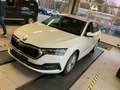 Skoda Octavia Combi 2.0 TDI DSG HeadUp Nav ACC CarPlay Weiß - thumbnail 1