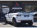 Land Rover Range Rover Evoque Range Rover Evoque Cabriolet 2.0 TD4 - 180 - BVA  CABRIOLET SE Dynamic Bianco - thumbnail 7