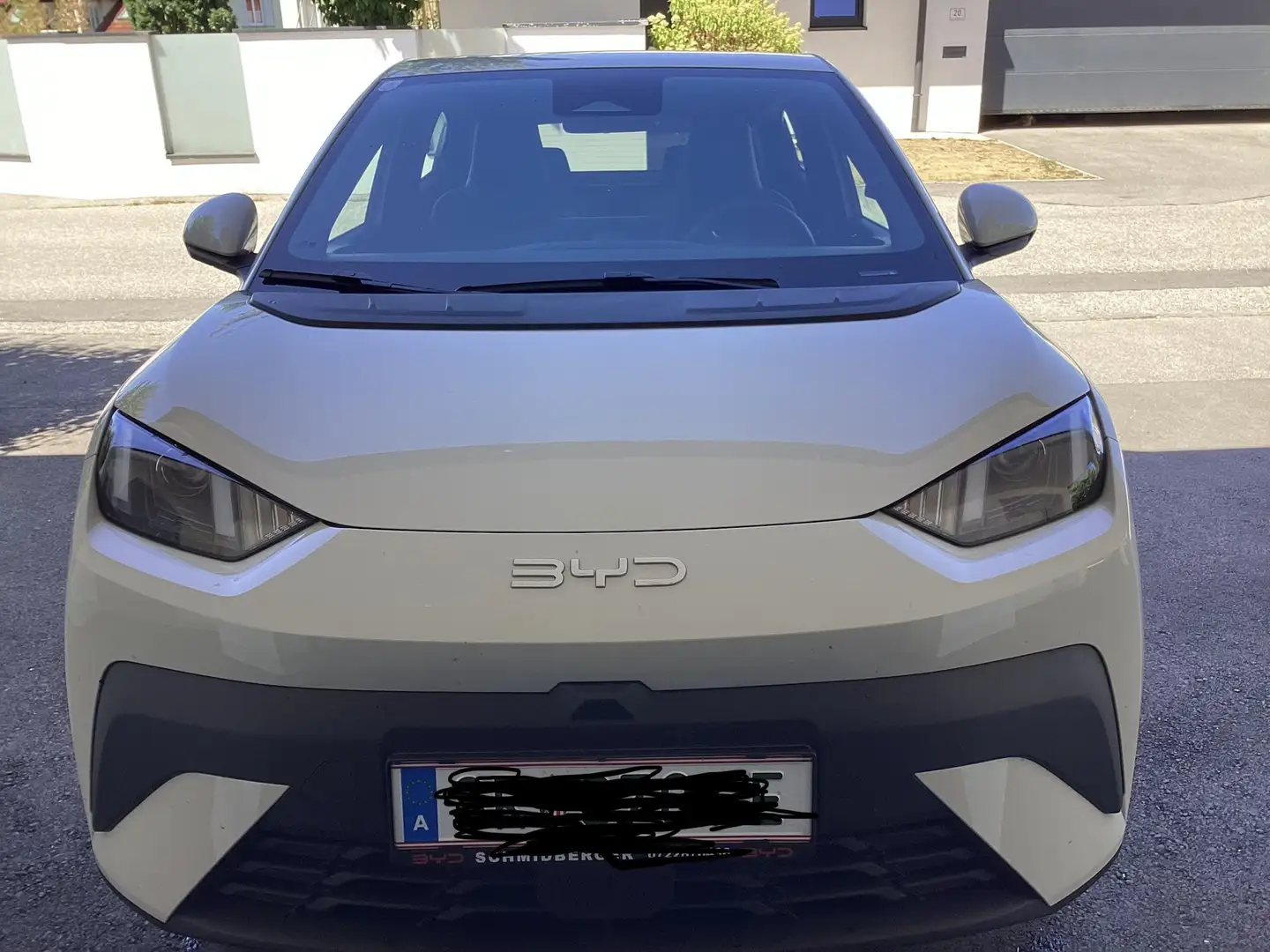 BYD Dolphin Surf Boost Weiß - 1