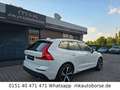 Volvo XC60 Volvo XC60 2,0 AWD Geartronic "Momentum" Weiß - thumbnail 6