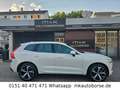 Volvo XC60 Volvo XC60 2,0 AWD Geartronic "Momentum" Weiß - thumbnail 5