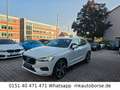Volvo XC60 Volvo XC60 2,0 AWD Geartronic "Momentum" Weiß - thumbnail 10