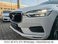 Volvo XC60 Volvo XC60 2,0 AWD Geartronic "Momentum" Weiß - thumbnail 3