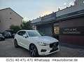 Volvo XC60 Volvo XC60 2,0 AWD Geartronic "Momentum" Weiß - thumbnail 1