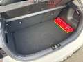 Kia Rio 4ª SERIE 1.2 MPI EVOLUTION Bianco - thumbnail 10
