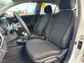 Kia Rio 4ª SERIE 1.2 MPI EVOLUTION Bianco - thumbnail 15