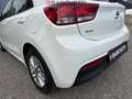 Kia Rio 4ª SERIE 1.2 MPI EVOLUTION Bianco - thumbnail 7